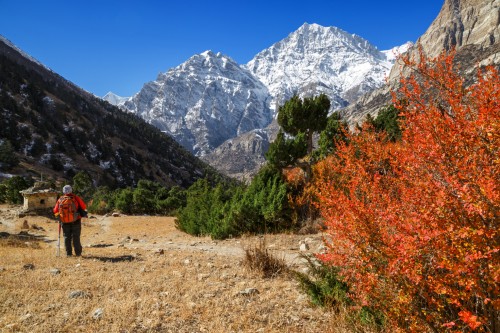 Hire a Guide and Porter for Naar Phu Valley Trek